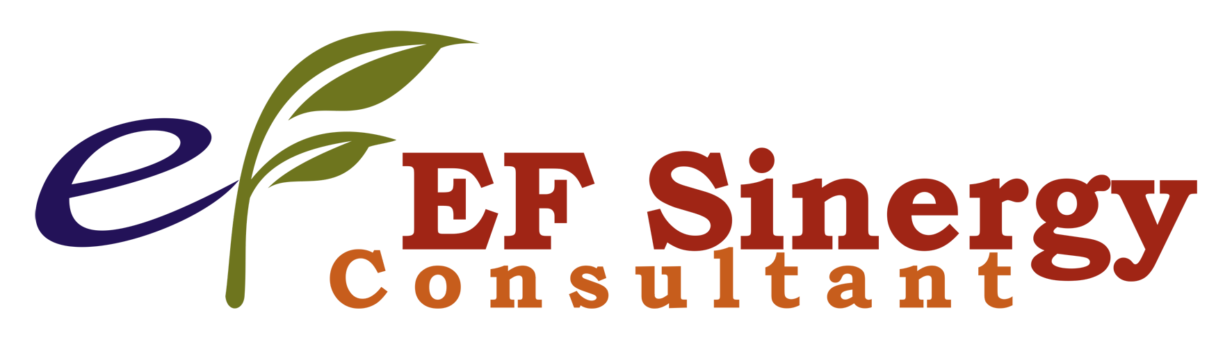 ef sinergy